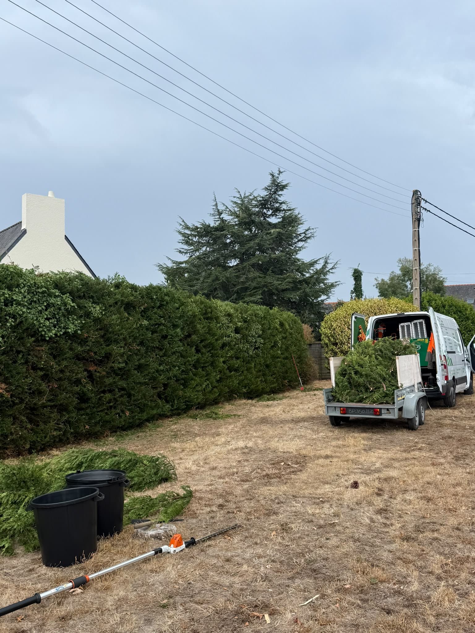 Chantier d'élagage MarioÉlag près de Plouay